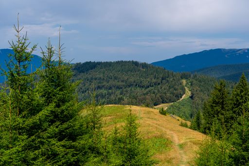 A grassy meadow with lush woods and mountains in the background under a cloudy sky