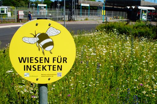 A sign points to a flowering meadow in Frankfurt. Here at Heddernheim metro station.