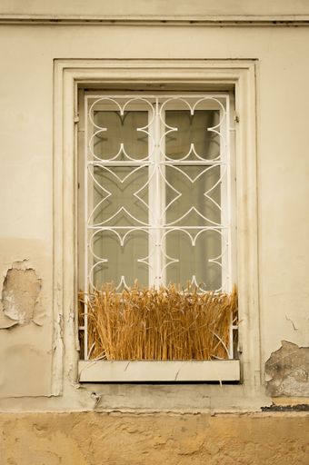 A window of an old building that attracts attention with its architectural uniqueness and historical charm.