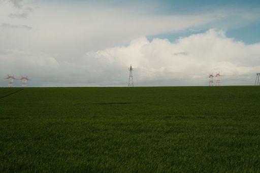 A picturesque green field stretching to the horizon under a cloudy sky.