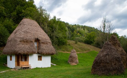 Traditional thatched-roof house and haystacks in a lush green rural landscape with cloudy sky.