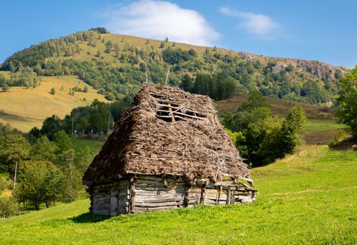 A rustic wooden cabin with a thatched roof in a lush green meadow, set against a backdrop of rolling hills and a clear blue sky.