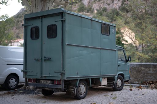 old green Mercedes Benz MB100 MB180 truck. It has a large closed cargo box, two large rear doors and a side window, it is probably camperized.