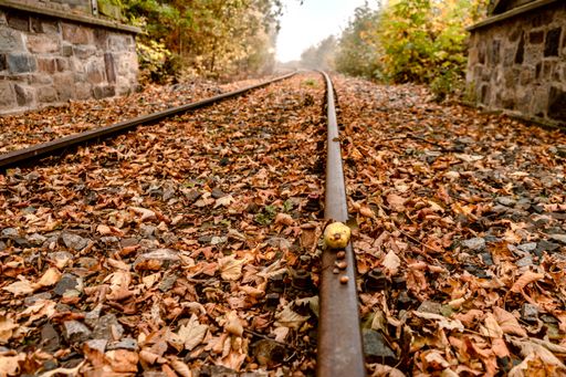A beautiful view of rails with fallen fall leaves