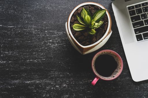 A high angle shot of a houseplant, a cup of coffee and a laptop on a black surface