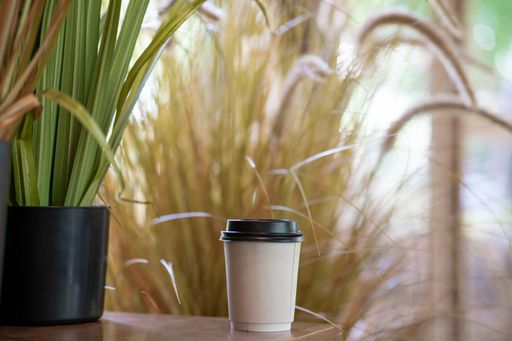 A closeup shot of a paper cup with the cap on a table with indoor plant in a pot on table