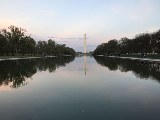 A view of the Washington Monument from the Reflecting Pool between trees at the National Mall in Washington DC at sunset, USA