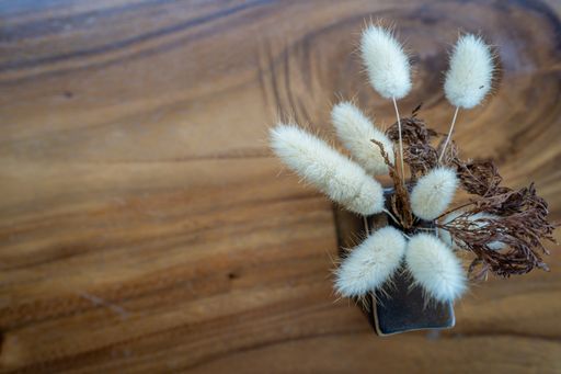 A top view of dried lagurus inside a vase on a table