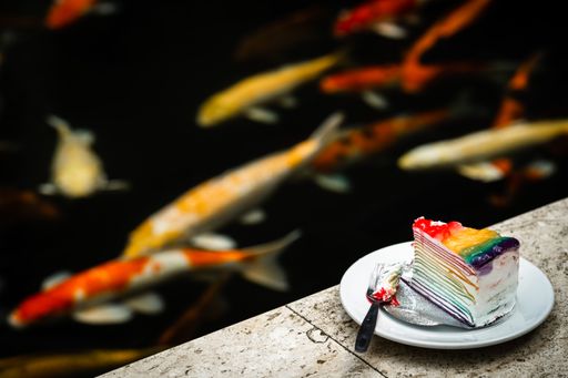 A piece of cake near a pond with swimming Koi fishes