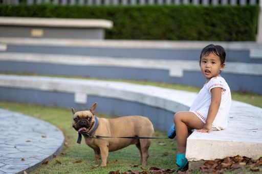 A cute little Asian girl sitting in a park with her lovely French bulldog