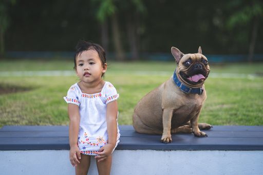 A cute little Thai girl sitting in a park with her lovely French bulldog