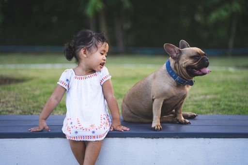 A little Thai girl playing with her lovely french bulldog in the park