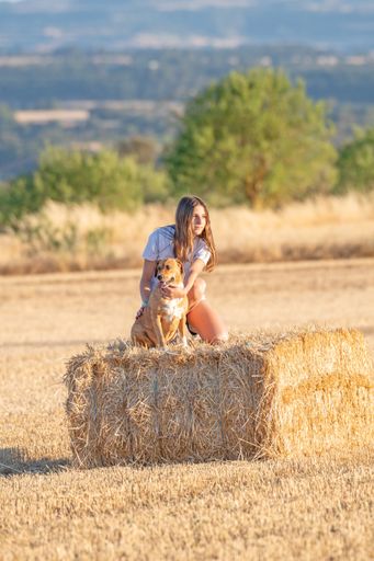 A blonde Caucasian teenage girl hugging a dog on top of a bale of straw in the middle of the field