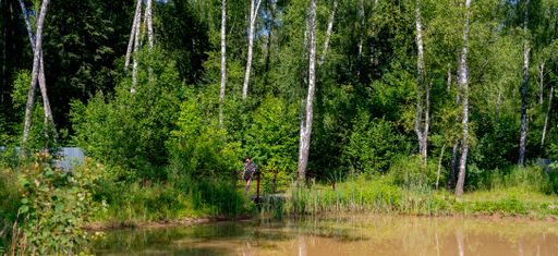 A closeup shot of a girl on a bridge among green tall trees in Stupino, Russia