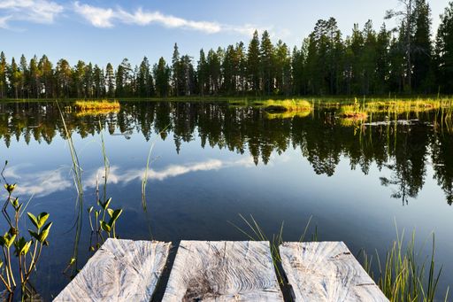 A serene lake surrounded by lush pine forests. The calm water reflects the blue sky. A small wooden dock extends into the water.