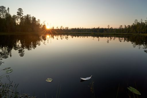 A serene lake reflects a vibrant sunset. Tall trees line the horizon, silhouetted against the colorful sky.