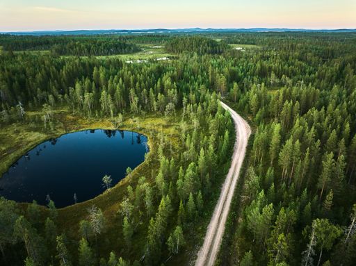 An aerial view of a lush green forest with a winding dirt road cutting through it. A small, circular lake is visible amidst the trees.