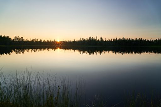 A serene lake reflecting a vibrant sunset. Tall trees line the horizon, silhouetted against the colorful sky. Tall grasses frame the foreground