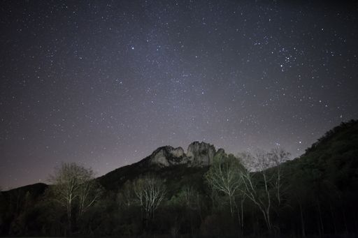 A beautiful shot of forest and hills under a starry night sky - perfect for background