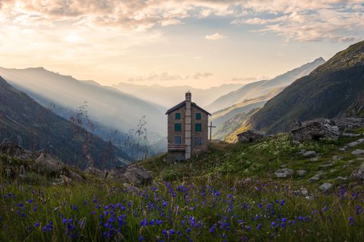 Summer landscape view of a lonely mountain hut at sunset with the valley behind illuminated by a side light and purple flowers in the foreground