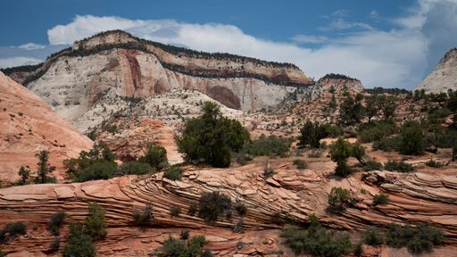 A barren rocky desert landscape under a vast sky with scattered clouds in Zion National Park, Utah