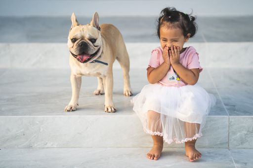 A cute Asian female child and her pet French Bulldog
