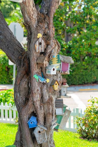 A vertical shot of an old tree in a vibrant sunny park with colorful cute birdhouses on it