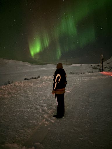 A vertical shot of a girl stands in the snow and looks at the starry glow at night in Tromso, Troms county, Norway