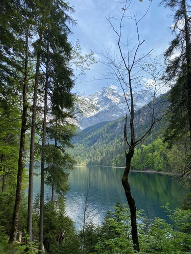 A vertical view of the tranquil Eibsee Lake surrounded by green forest with snowy mountains in the background, on a sunny day in Bavaria, Germany