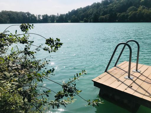 A scenic view of a tranquil lake with shimmering water surrounded by green forest on a clear sunny day