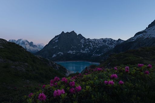 Summer landscape view of a mountain range with a turquoise lake and rhododendrons flowers at blue hour