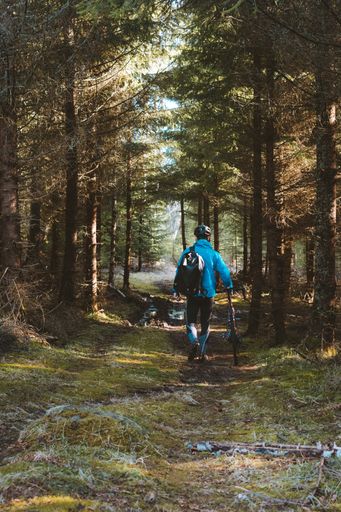 The cyclist in a blue coat and a helmet in the park with tall trees