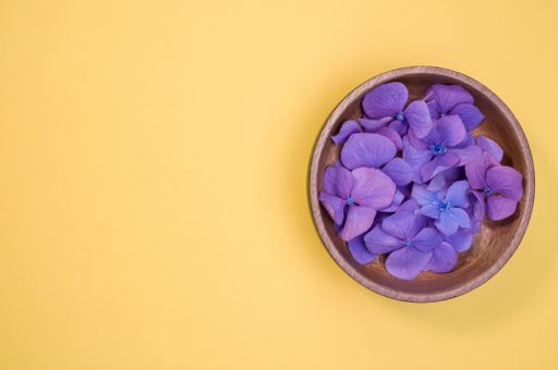 A top view of purple hydrangeas isolated on a ybackground - great for wallpaper