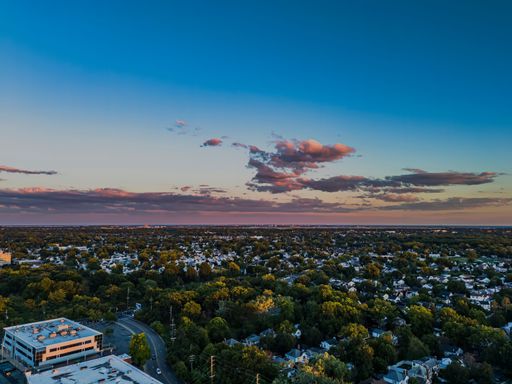 Aerial view of a suburban neighborhood with lush green trees and clear blue sky during sunset.