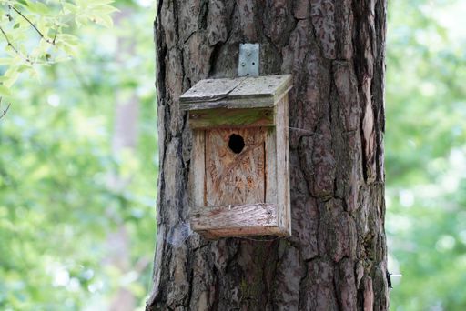 A closeup shot of a birdhouse in a garden