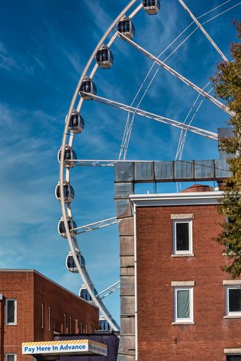 A vertical closeup shot of a Ferris wheel near trees  and buildings under a blue clear sky