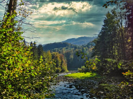A beautiful view of a flowing rocky river surrounded by greens and trees