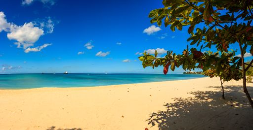 A beautiful shot of the sand and clear blue water of Barbados Island, Caribbean Island