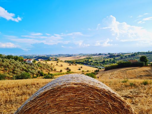 A closeup shot of bale of straw in a field under the blue sky