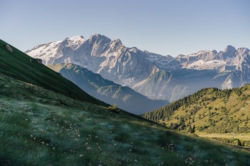 Morning view of the Marmolada north face and alpine meadows of Dolomites, Italy. Summer alpine landscape with Marmolada, highest peak in Dolomiti.