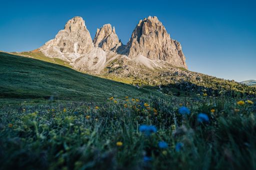 Summer view of Sassolungo and Sassopiato towers in Dolomites, Italy. Beautiful morning in Dolomiti, green grass, blue sky and high rock towers, peaks.