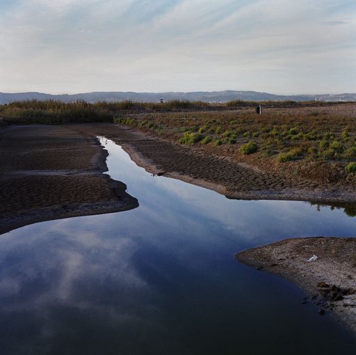 A shot of a small lake in the middle of a field under the blue clear sky