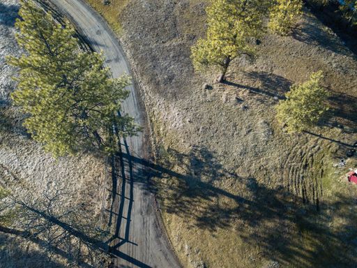an aerial shot of a road in the middle of fields with trees