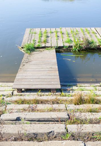 An old wooden dock with over murky water