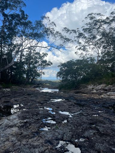 A vertical shot of dirty ground with tiny ponds, and trees on its sides, against a background of blue sky with white clouds