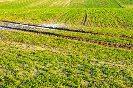 A beautiful shot of tractor tire tracks on a grassy field