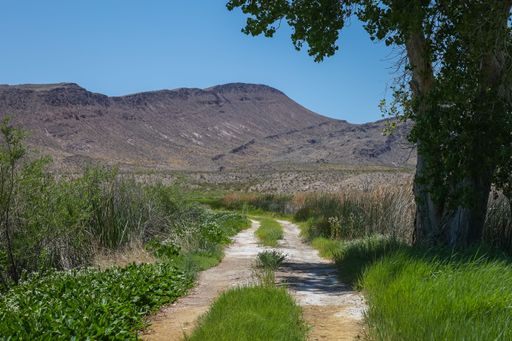 A rural road passes near some ponds as it heads toward dramatic desert mountain scenery at the Pahranagat National Wildlife Refuge in eastern Nevada
