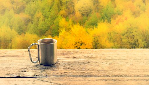 A beautiful view of a metal cup placed on a wooden plank and the colorful trees in the background
