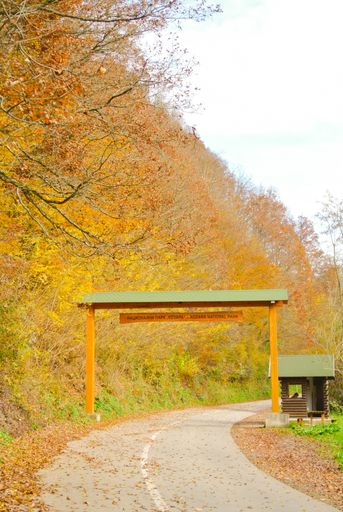 Entrance into national park, on mountain Kozara, forest in autumn, trees with colorful yellow, orange, red, brown, green, leaves, near city Prijedor