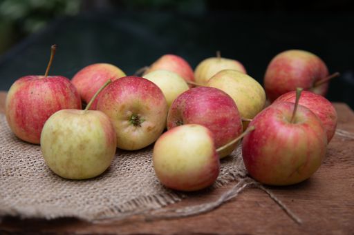 A Close-up of red, yellow, and green apples on coarse burlap fabric with blurred background